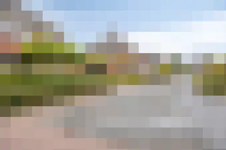 Laarwoud 35 Meppel thumbnail 43