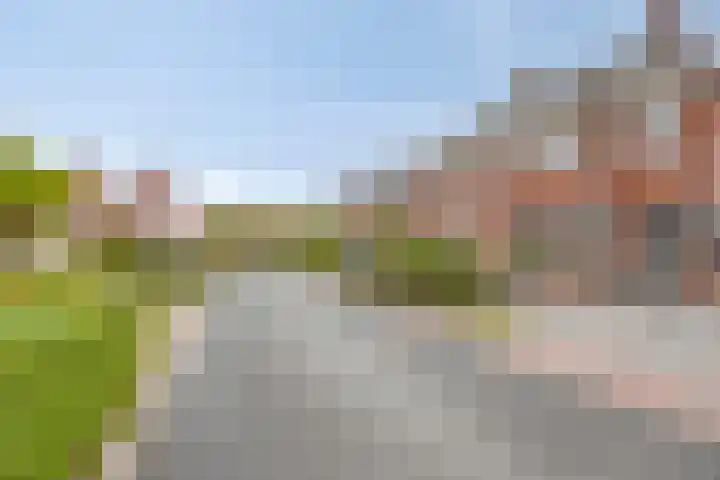 Laarwoud 35 Meppel thumbnail 44