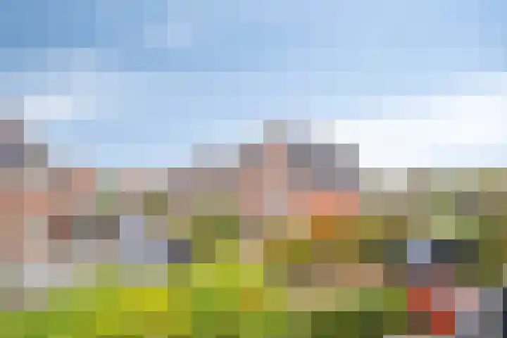 Laarwoud 35 Meppel thumbnail 45