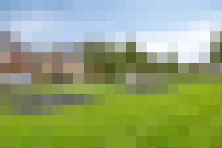 Laarwoud 35 Meppel thumbnail 46