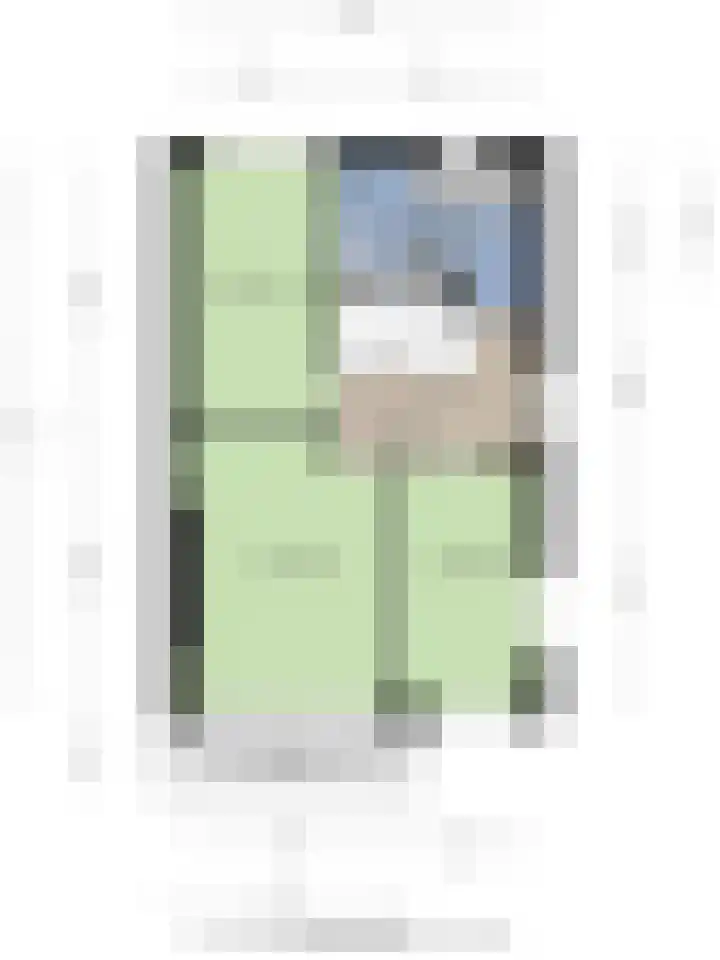 Laarwoud 35 Meppel thumbnail 48