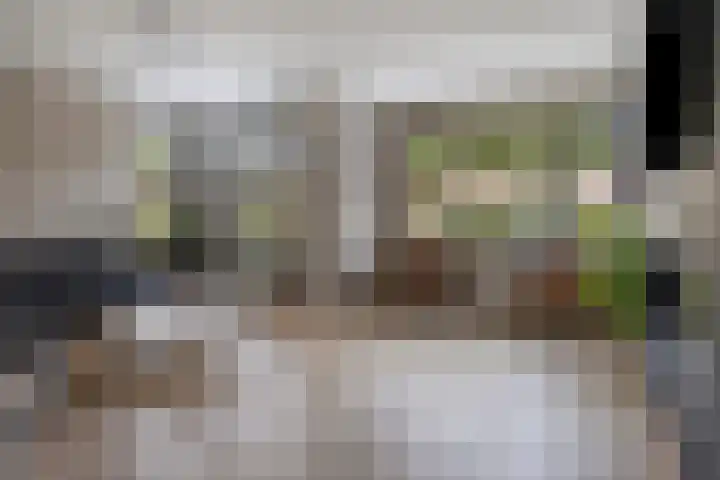 Laarwoud 35 Meppel thumbnail 7