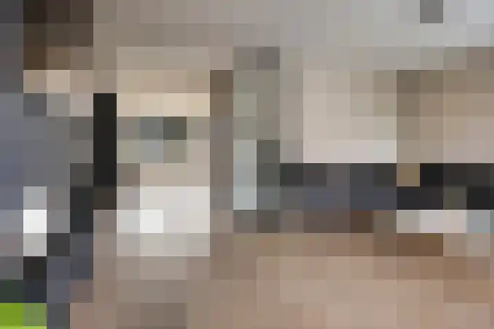Laarwoud 35 Meppel thumbnail 9