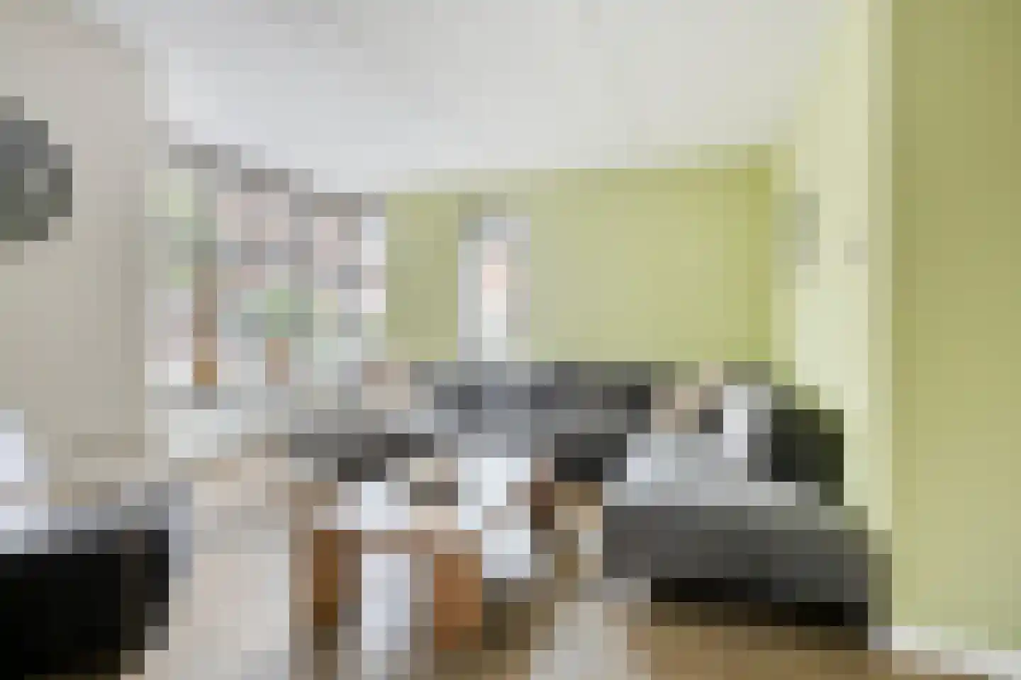 Laarwoud 4 Meppel thumbnail 11