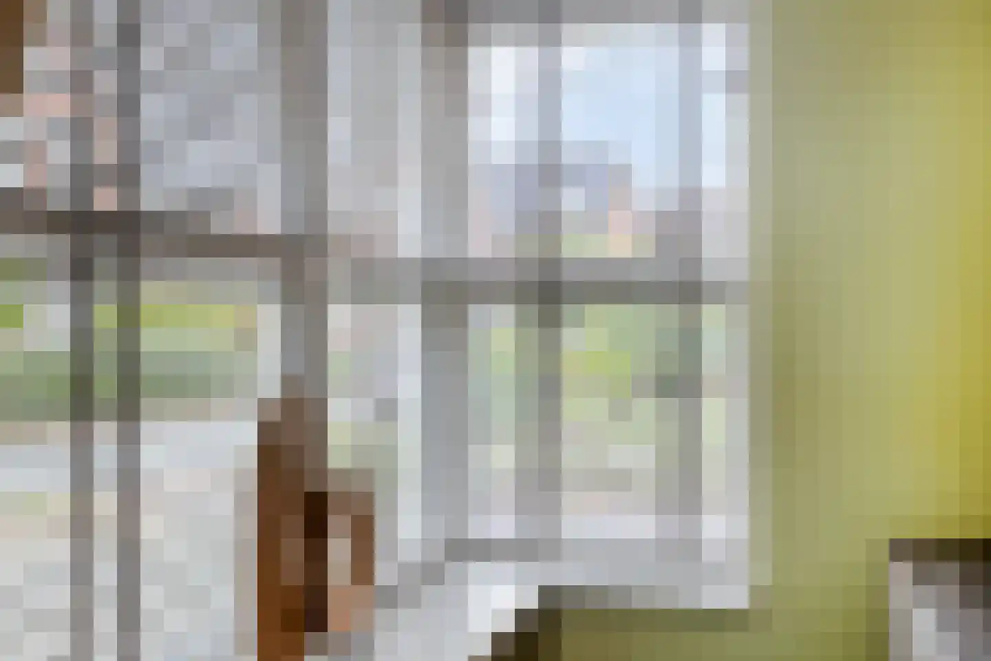 Laarwoud 4 Meppel thumbnail 12