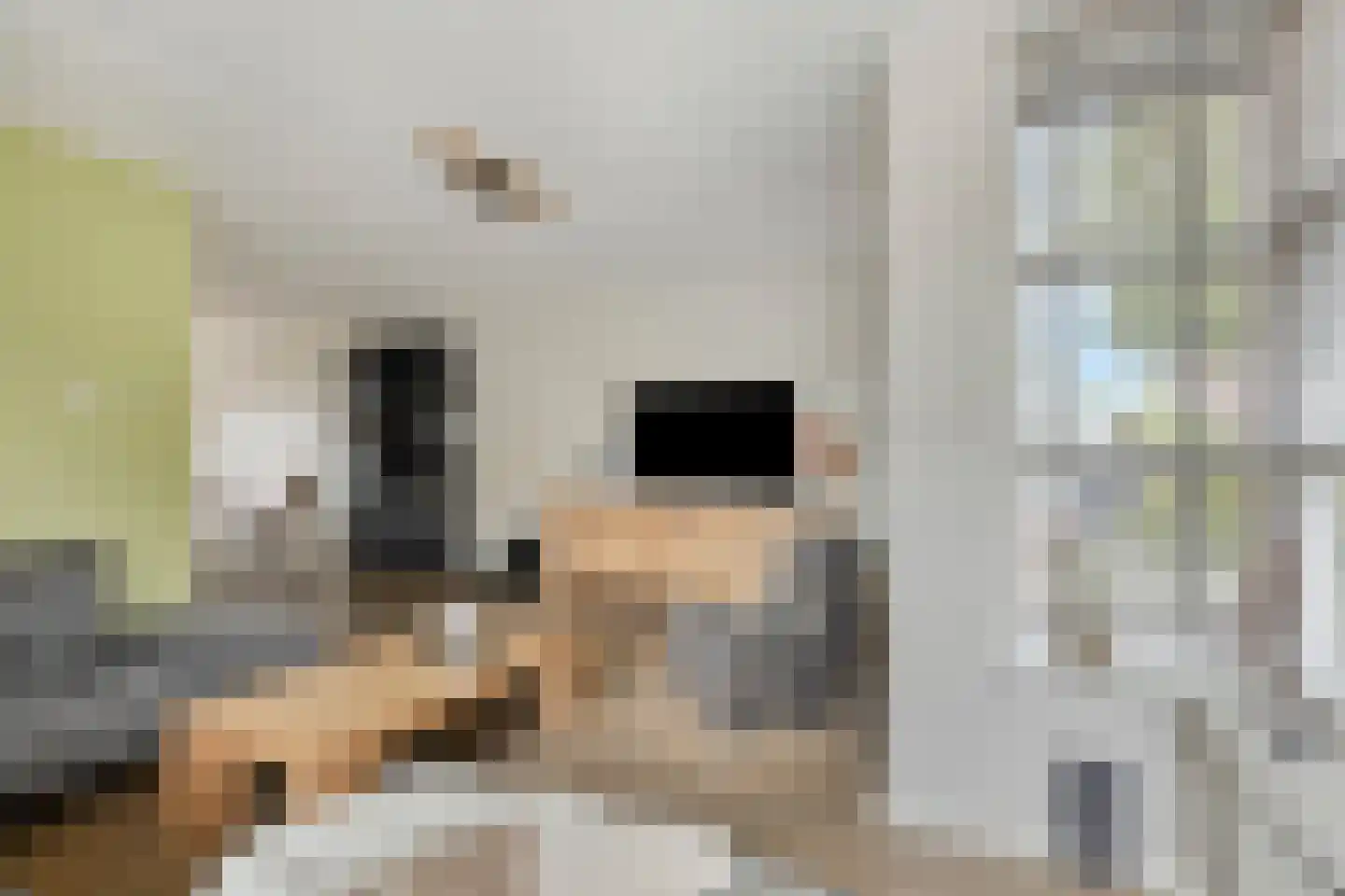 Laarwoud 4 Meppel thumbnail 13