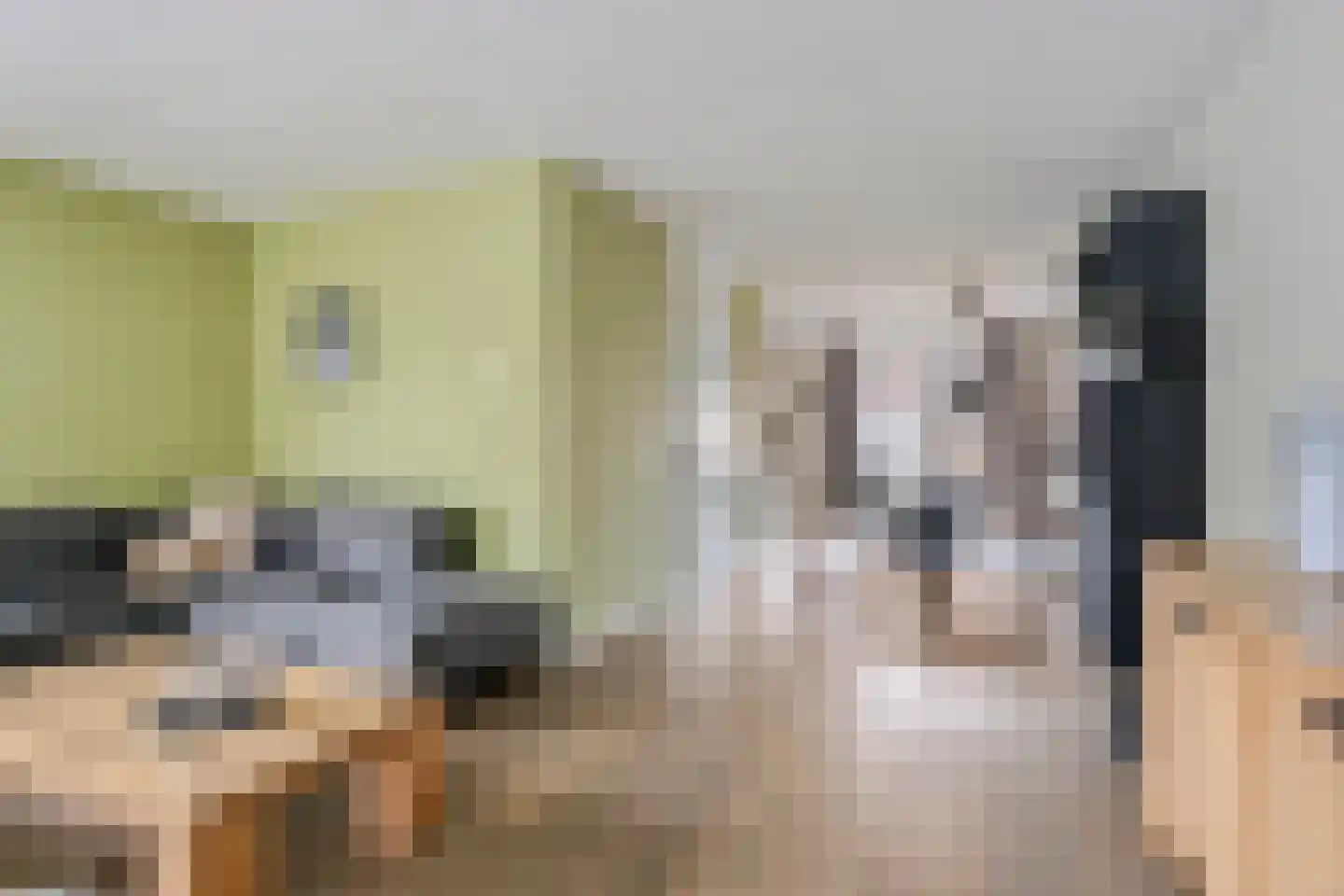 Laarwoud 4 Meppel thumbnail 14