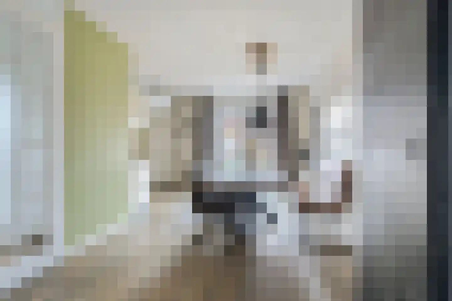 Laarwoud 4 Meppel thumbnail 15
