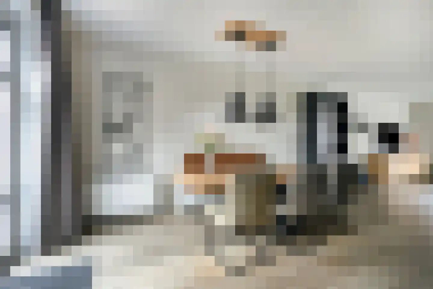 Laarwoud 4 Meppel thumbnail 17