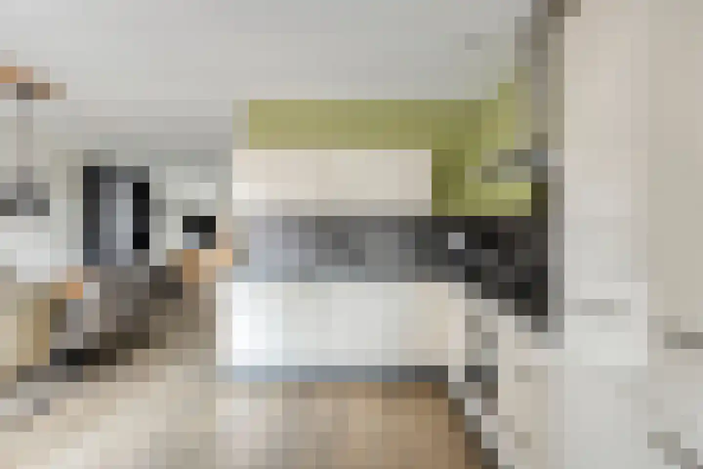 Laarwoud 4 Meppel thumbnail 20