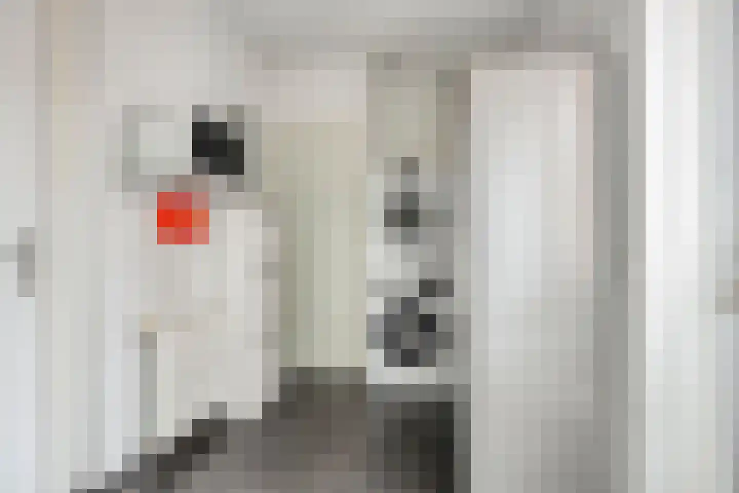 Laarwoud 4 Meppel thumbnail 21
