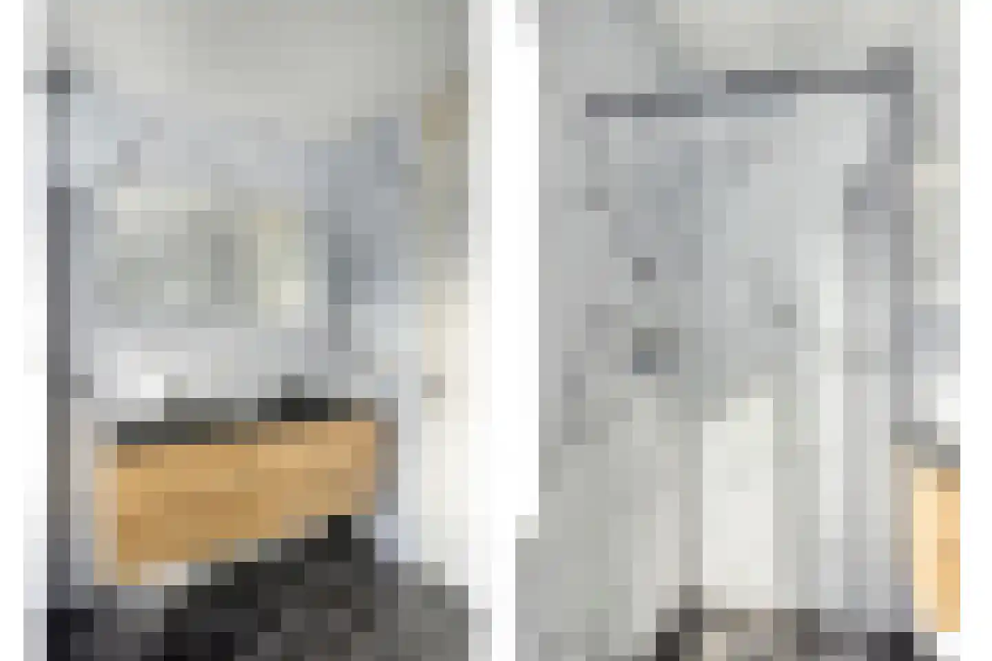 Laarwoud 4 Meppel thumbnail 27