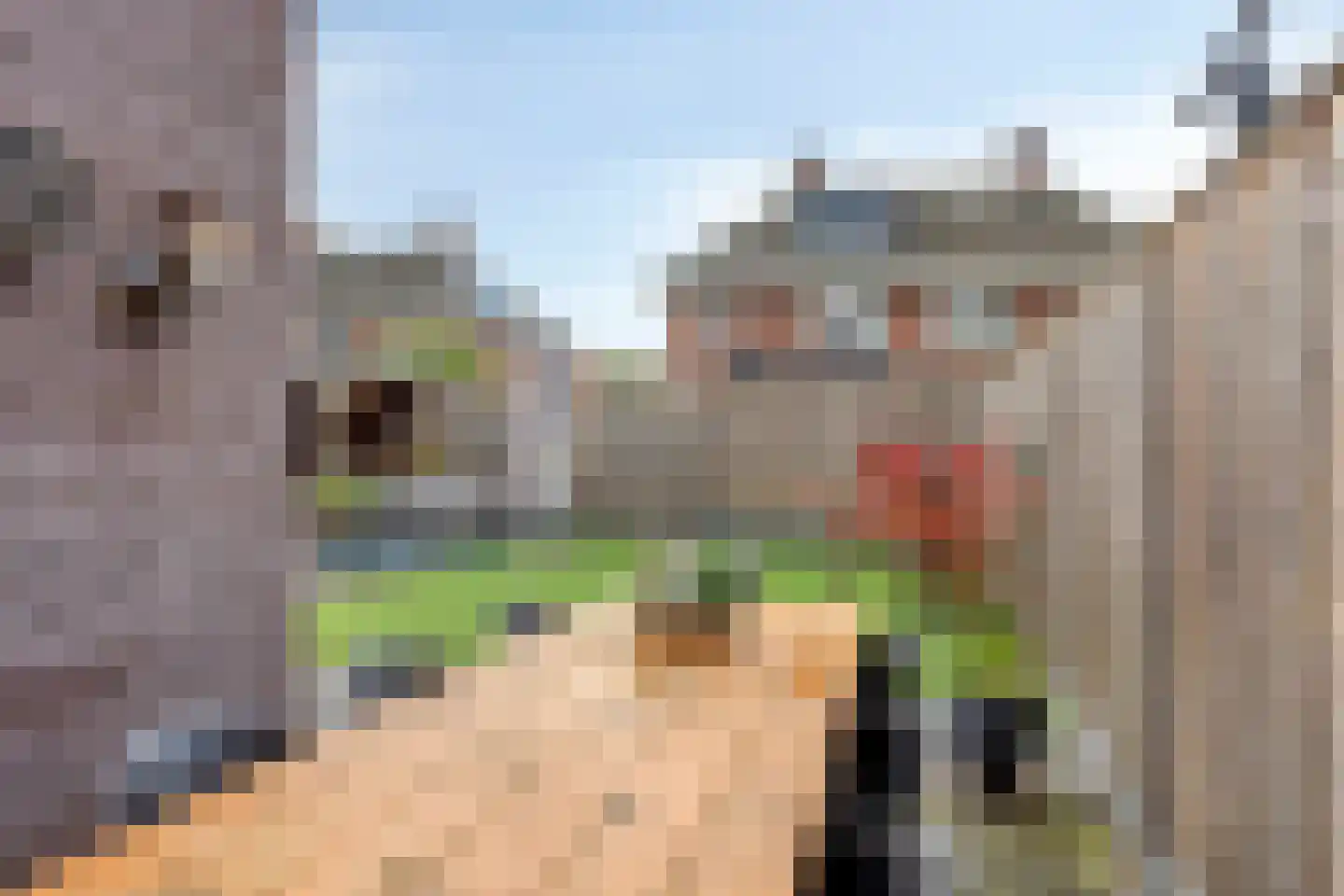 Laarwoud 4 Meppel thumbnail 33