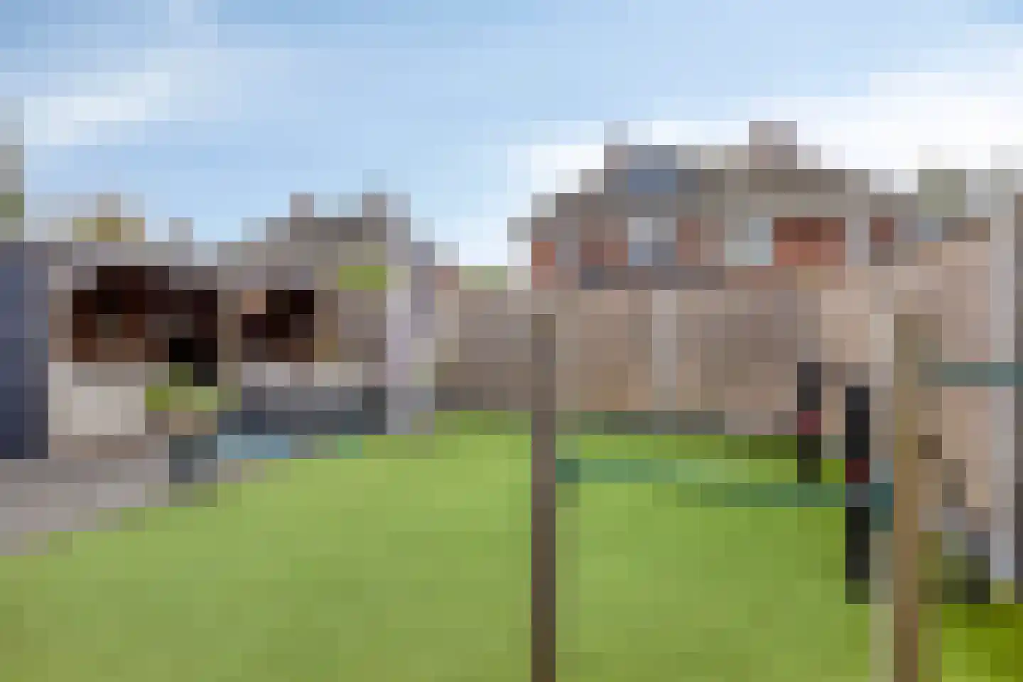 Laarwoud 4 Meppel thumbnail 34