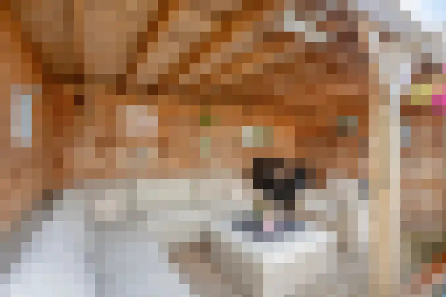 Laarwoud 4 Meppel thumbnail 36