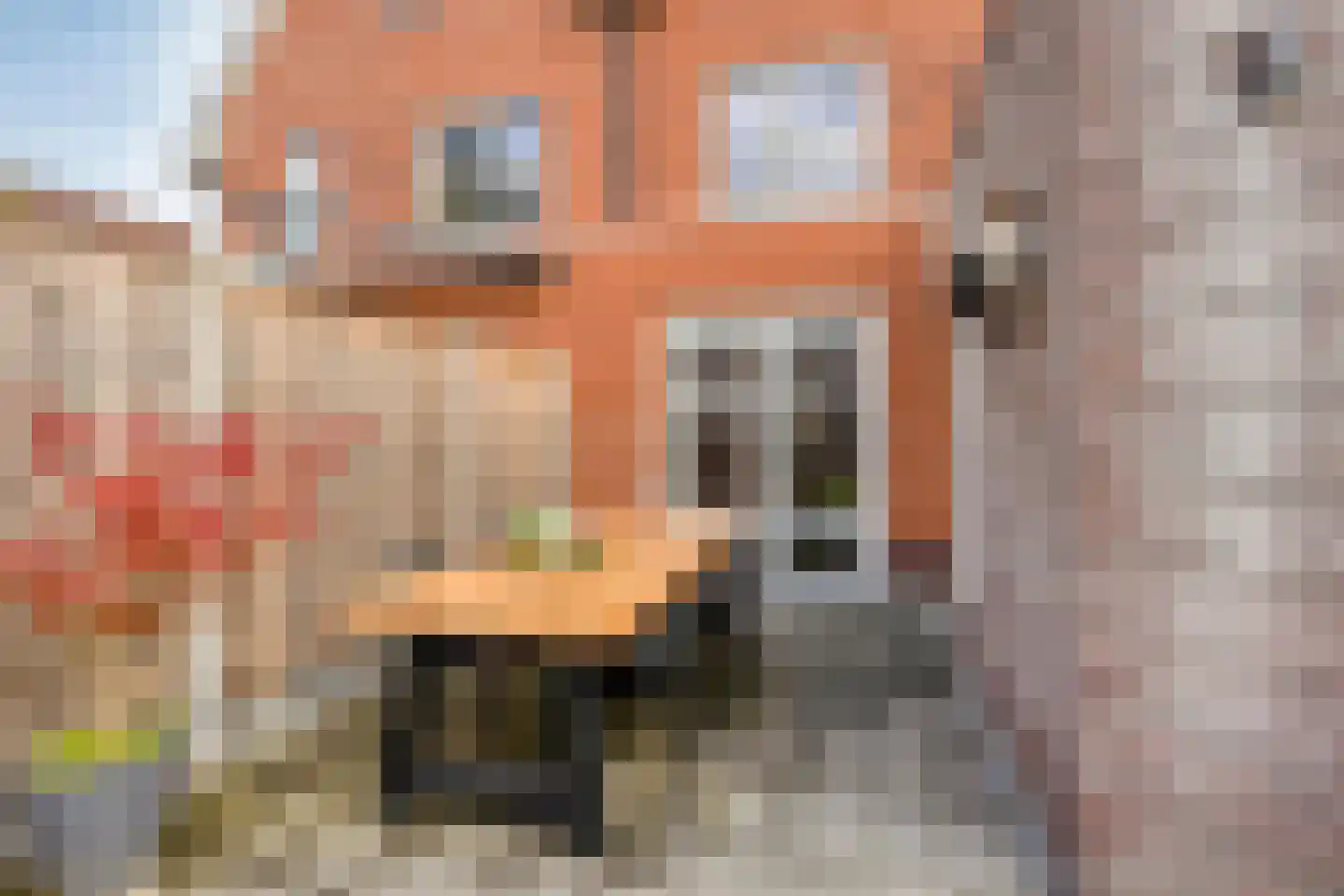 Laarwoud 4 Meppel thumbnail 38