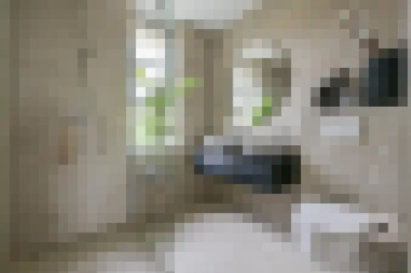 Laarwoud 7 Zeewolde thumbnail 17