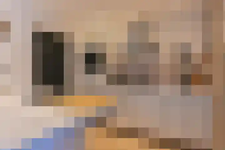 Laarwout 30 Emmen thumbnail 30