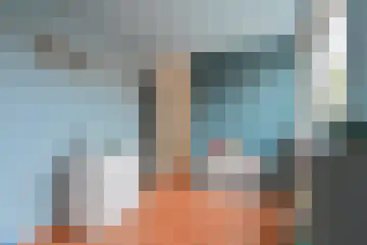 Laarwout 30 Emmen thumbnail 53