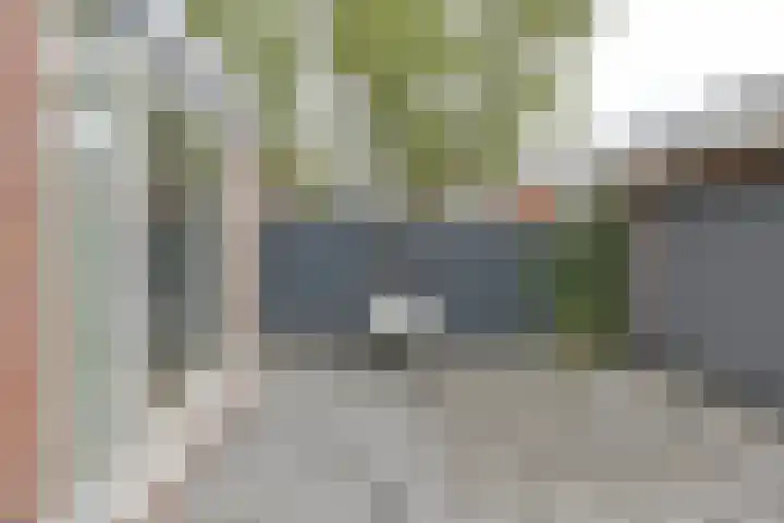 Laarwout 30 Emmen thumbnail 59