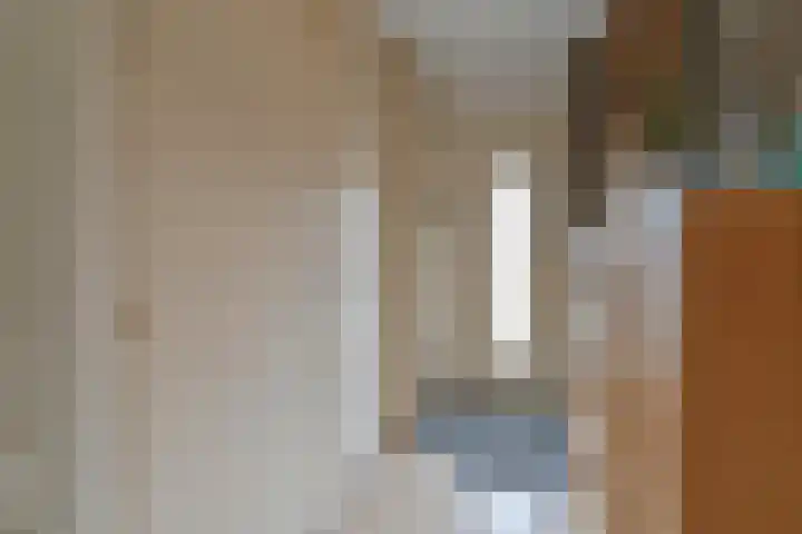 Laarwout 30 Emmen thumbnail 6