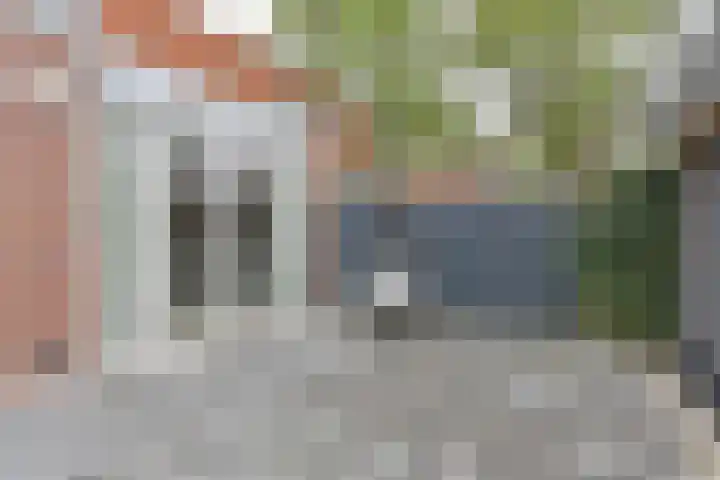 Laarwout 30 Emmen thumbnail 61