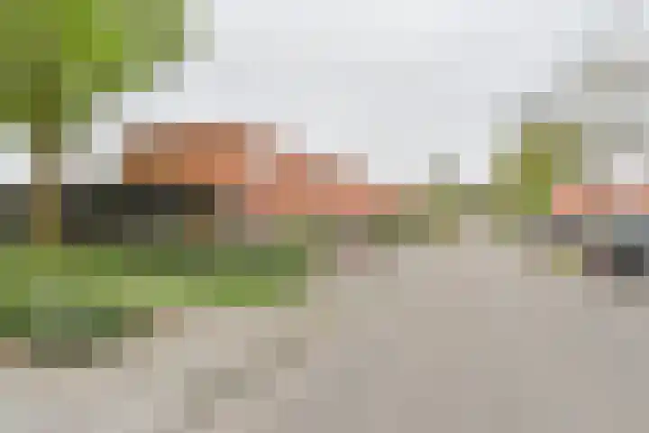 Laarwout 30 Emmen thumbnail 68