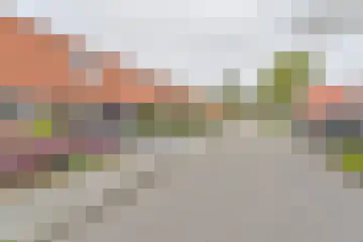 Laarwout 30 Emmen thumbnail 69