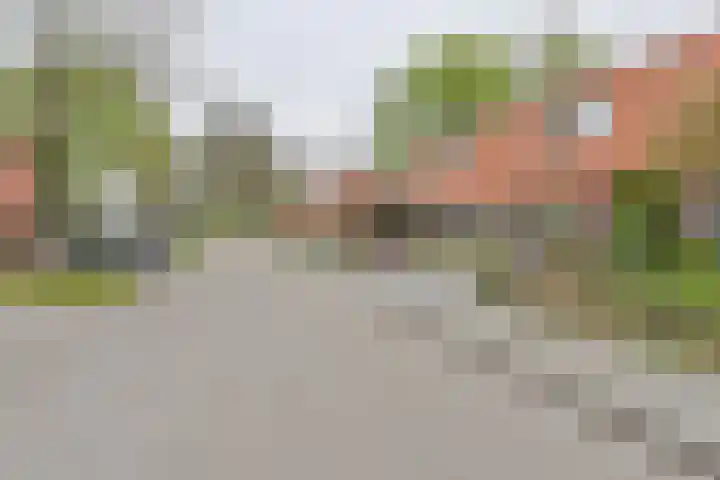 Laarwout 30 Emmen thumbnail 71