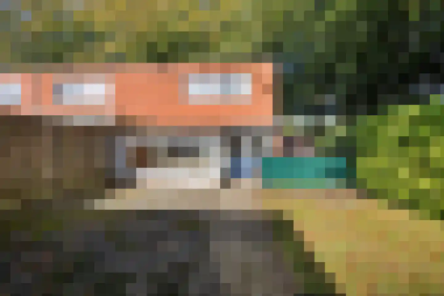 Laarwout 48 Emmen thumbnail 32