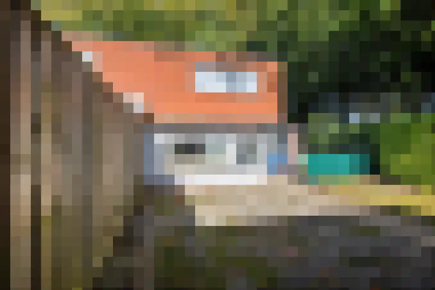 Laarwout 48 Emmen thumbnail 33