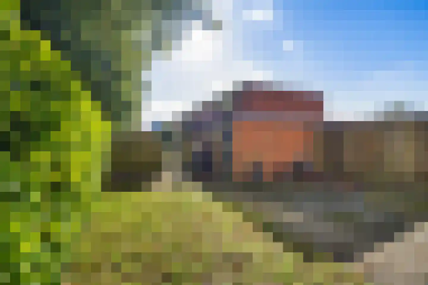 Laarwout 48 Emmen thumbnail 35