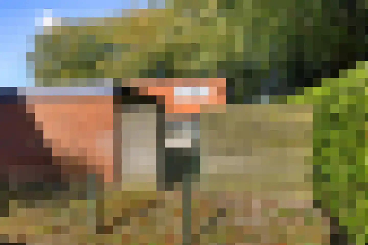 Laarwout 48 Emmen thumbnail 39