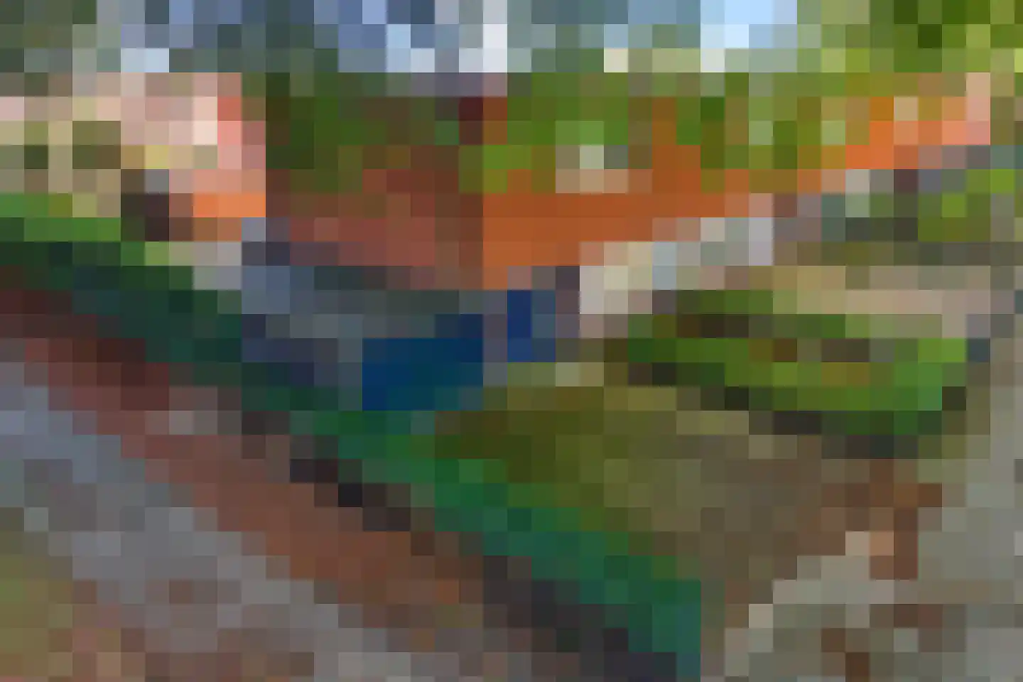 Laarwout 48 Emmen thumbnail 42