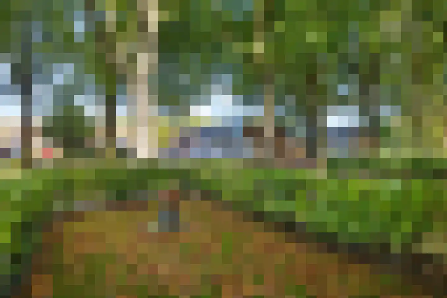 Laarwout 48 Emmen thumbnail 44