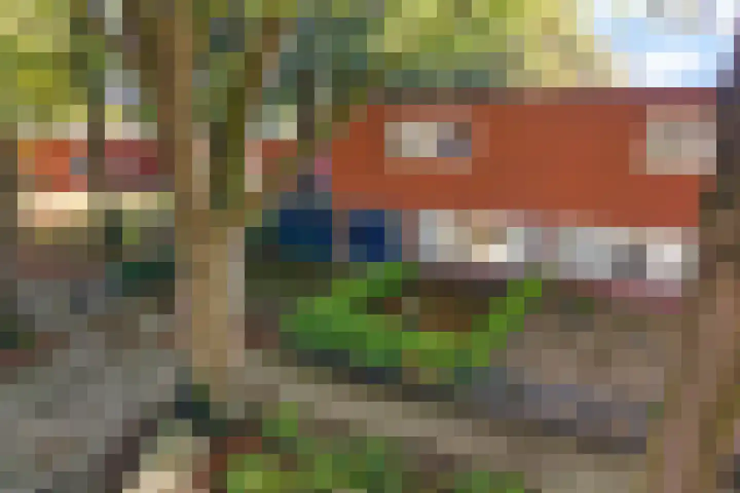 Laarwout 48 Emmen thumbnail 46