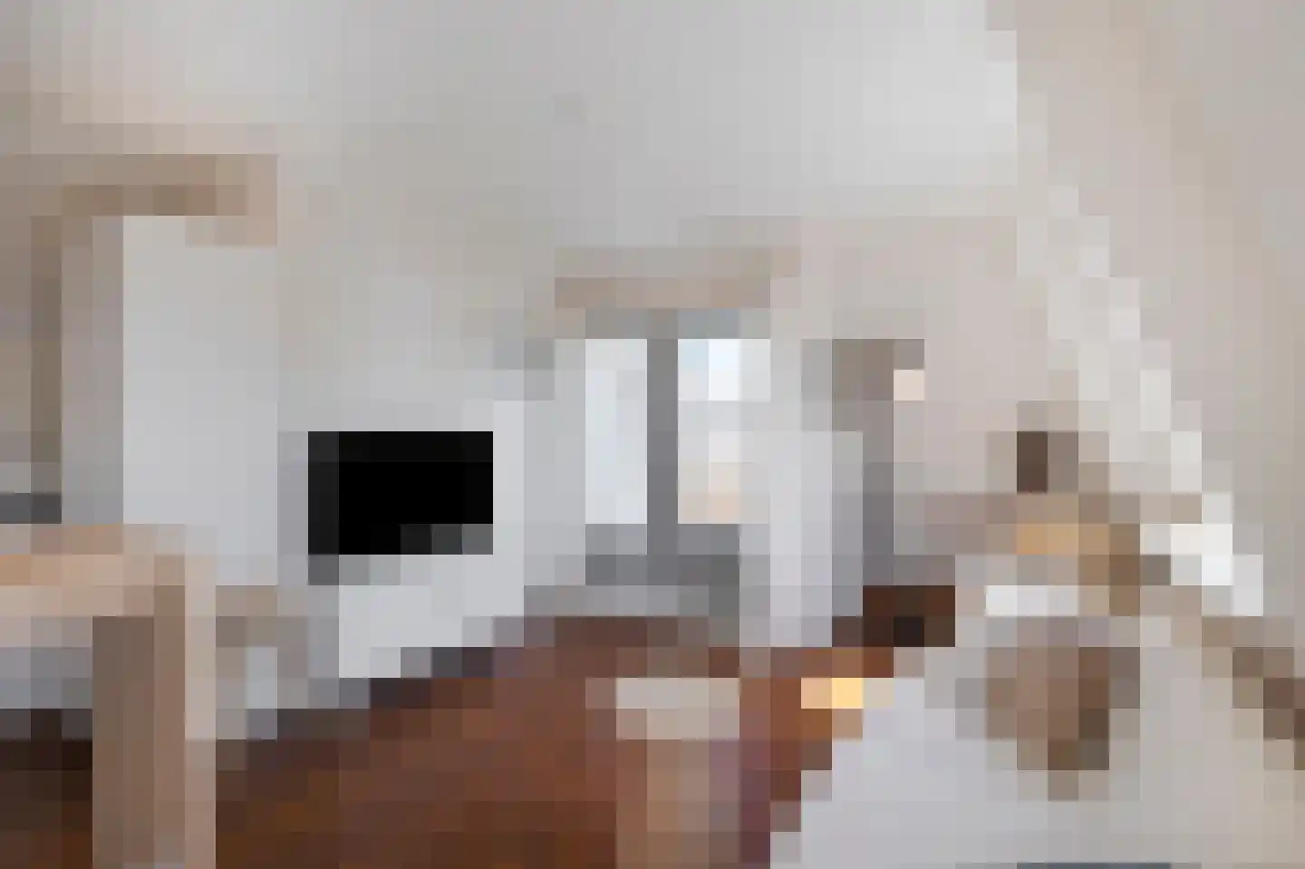 Laat 117 E Alkmaar thumbnail 11