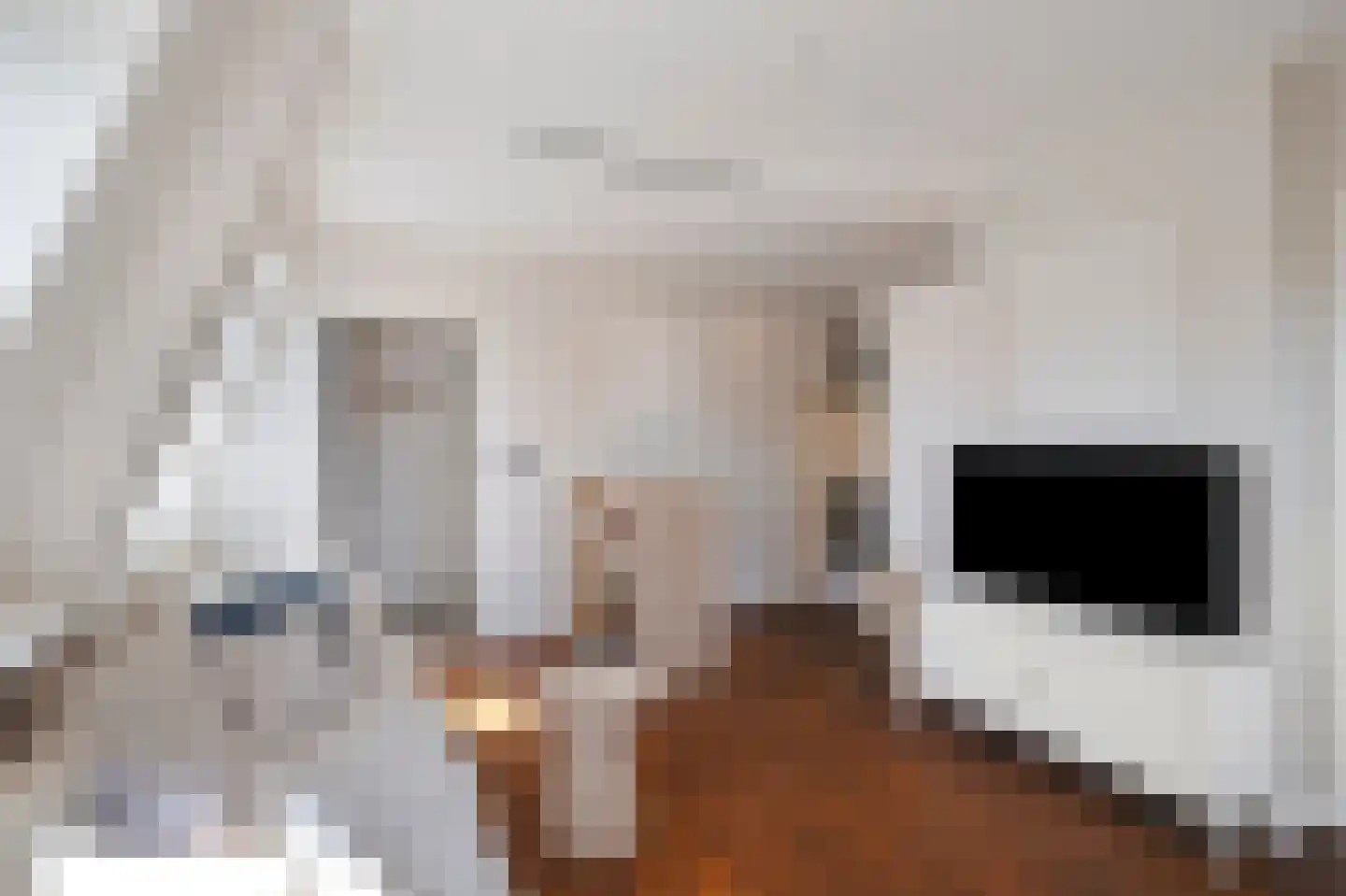 Laat 117 E Alkmaar thumbnail 12