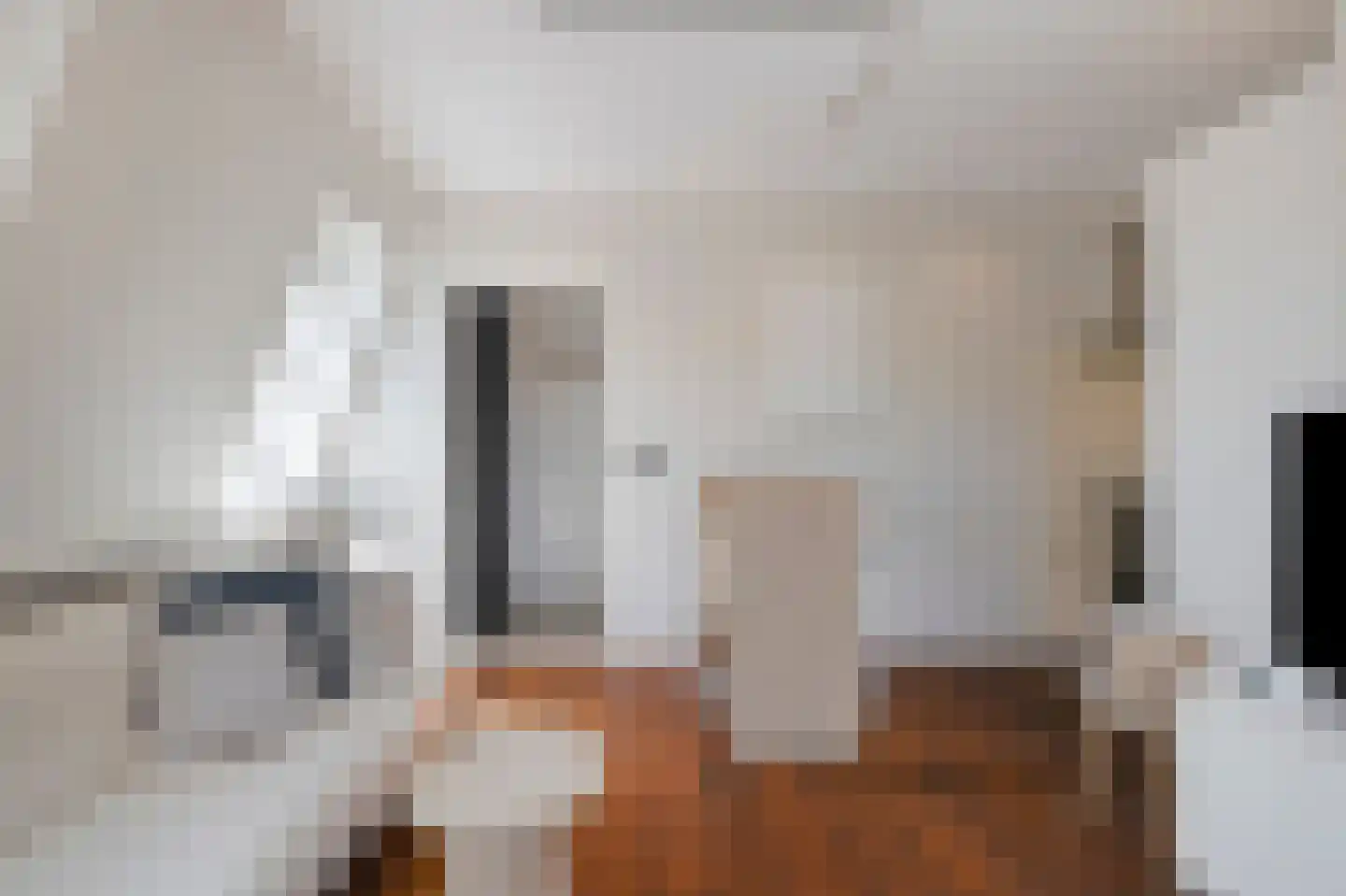 Laat 117 E Alkmaar thumbnail 13