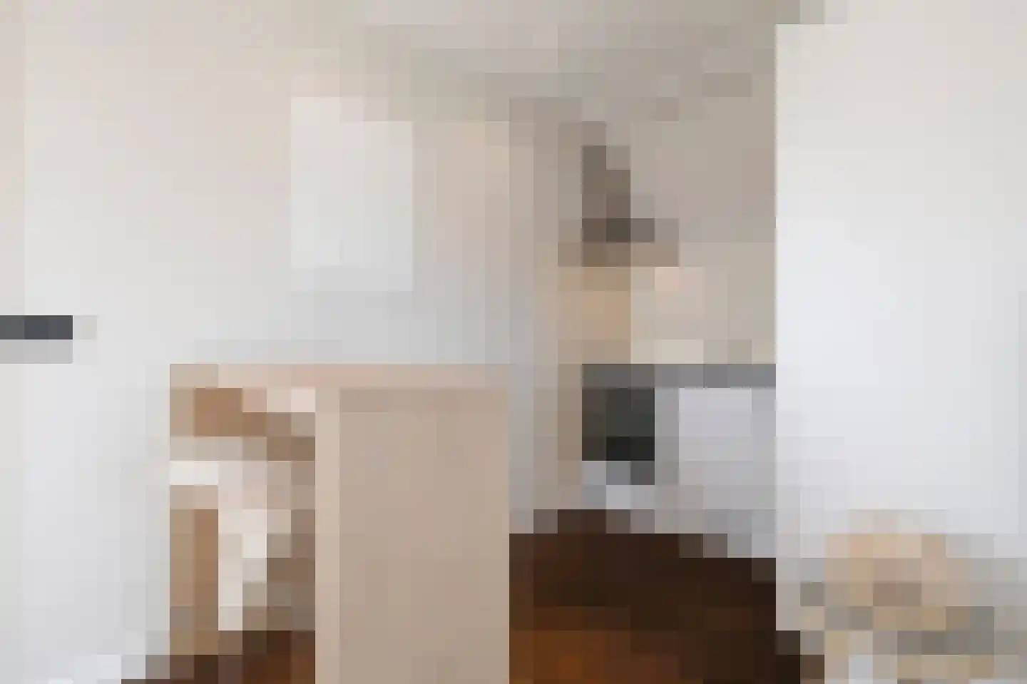 Laat 117 E Alkmaar thumbnail 18