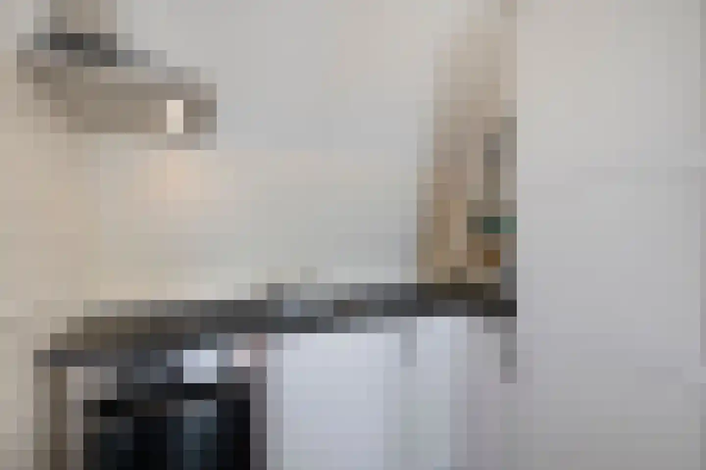 Laat 117 E Alkmaar thumbnail 20