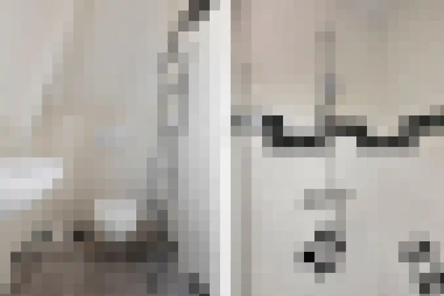 Laat 117 E Alkmaar thumbnail 23