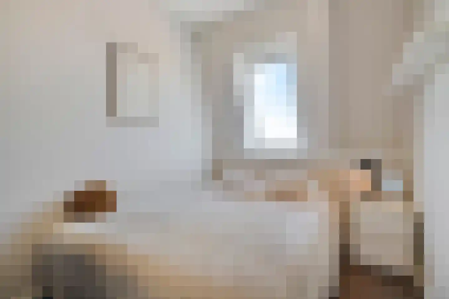 Laat 117 E Alkmaar thumbnail 24