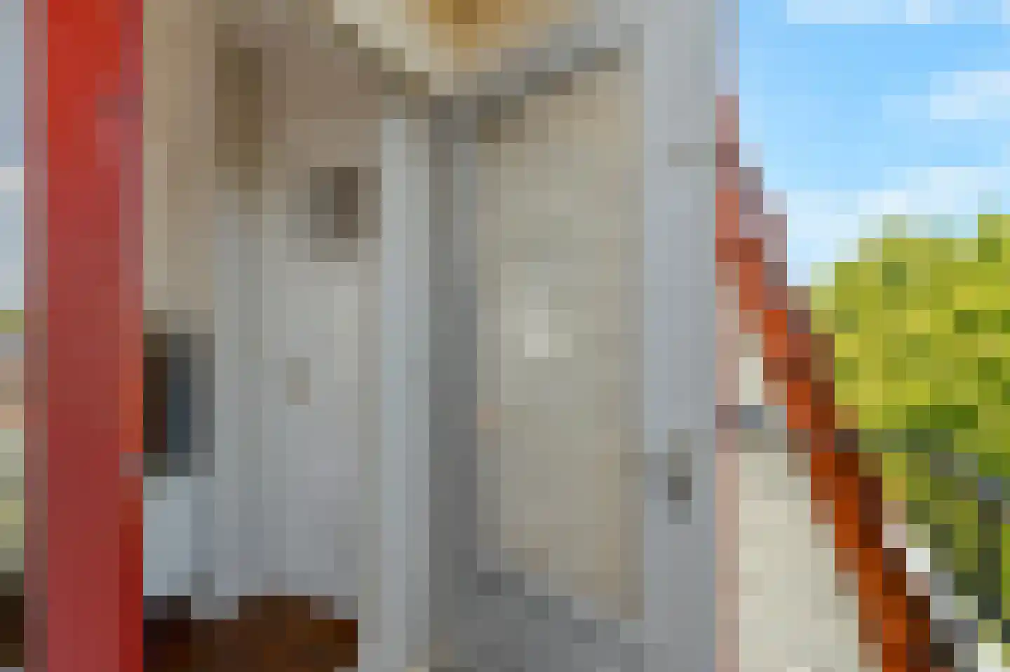 Laat 117 E Alkmaar thumbnail 27