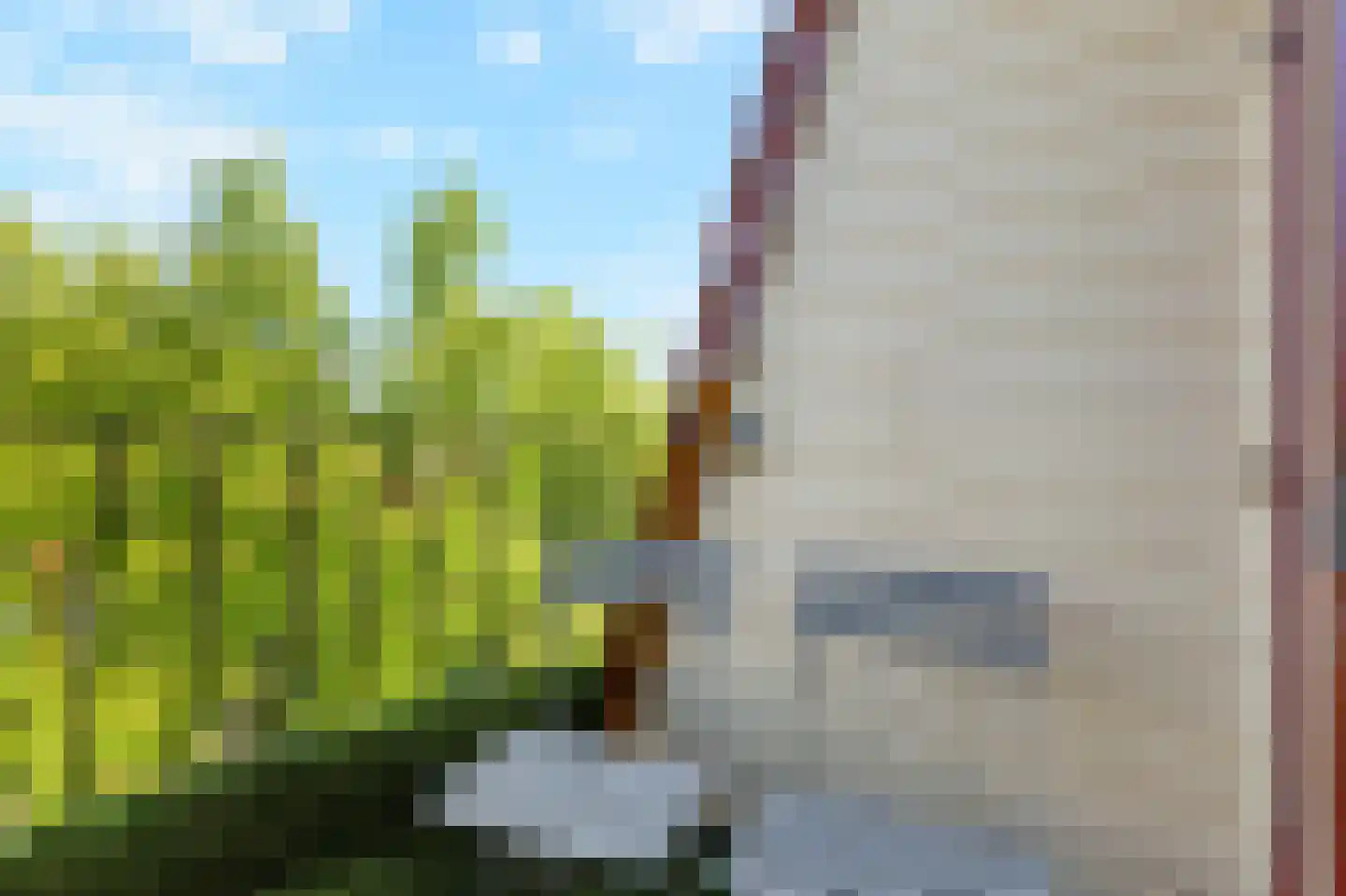Laat 117 E Alkmaar thumbnail 29