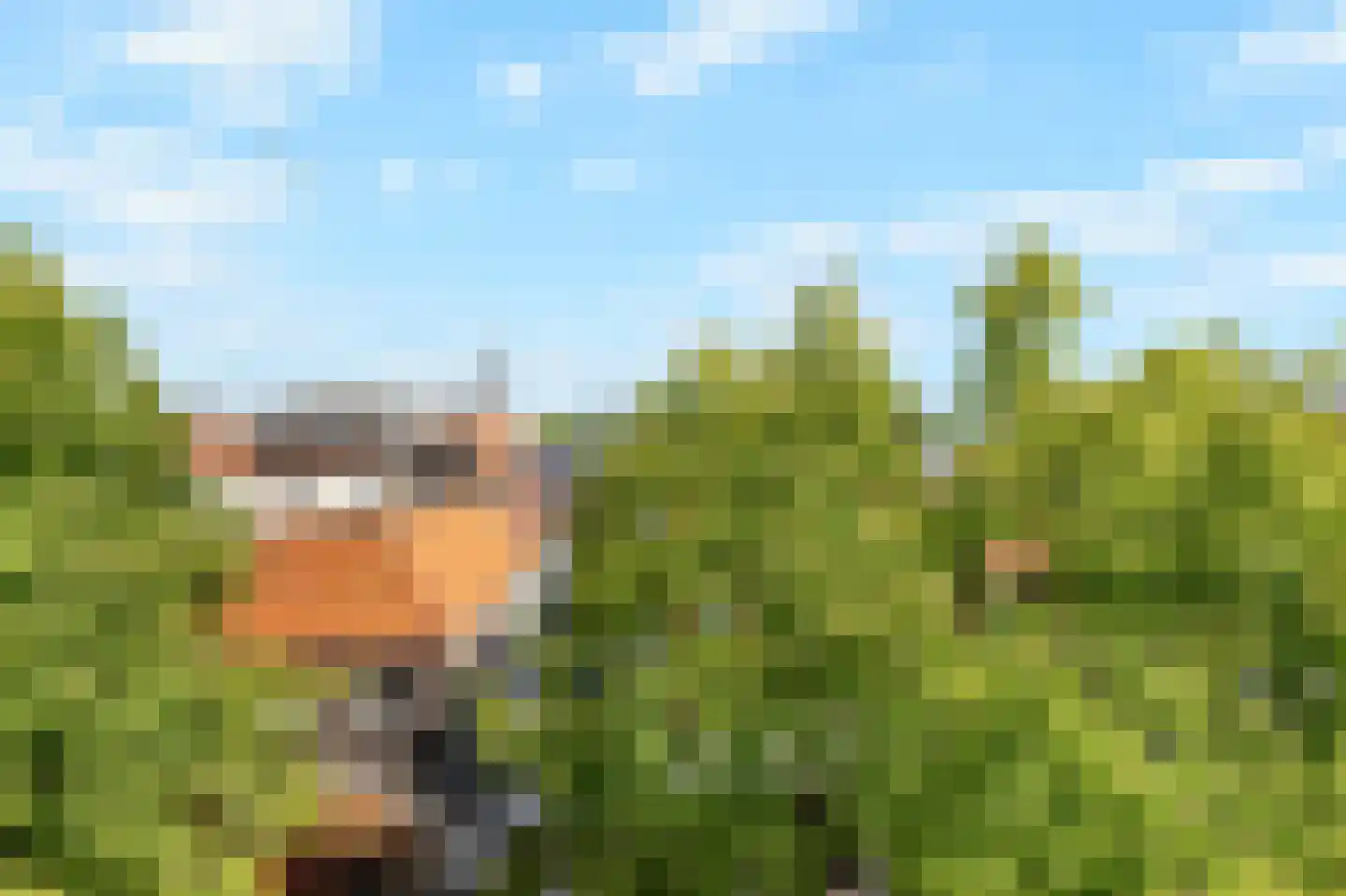 Laat 117 E Alkmaar thumbnail 30