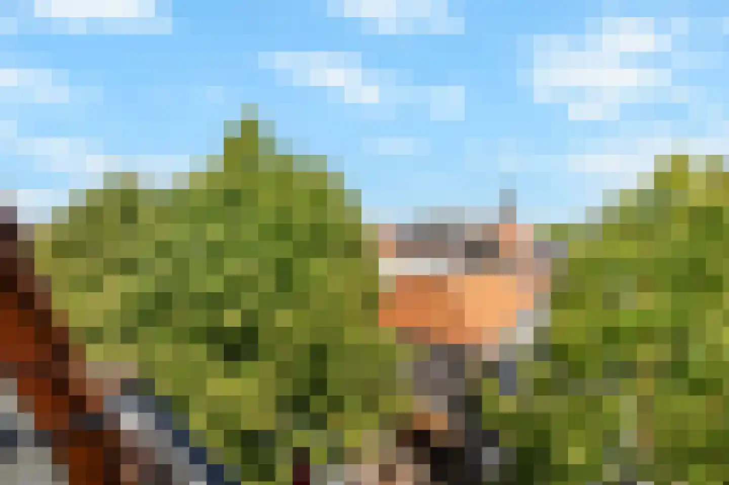 Laat 117 E Alkmaar thumbnail 31