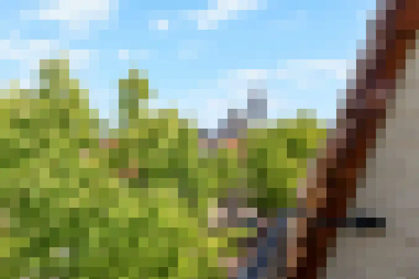 Laat 117 E Alkmaar thumbnail 32