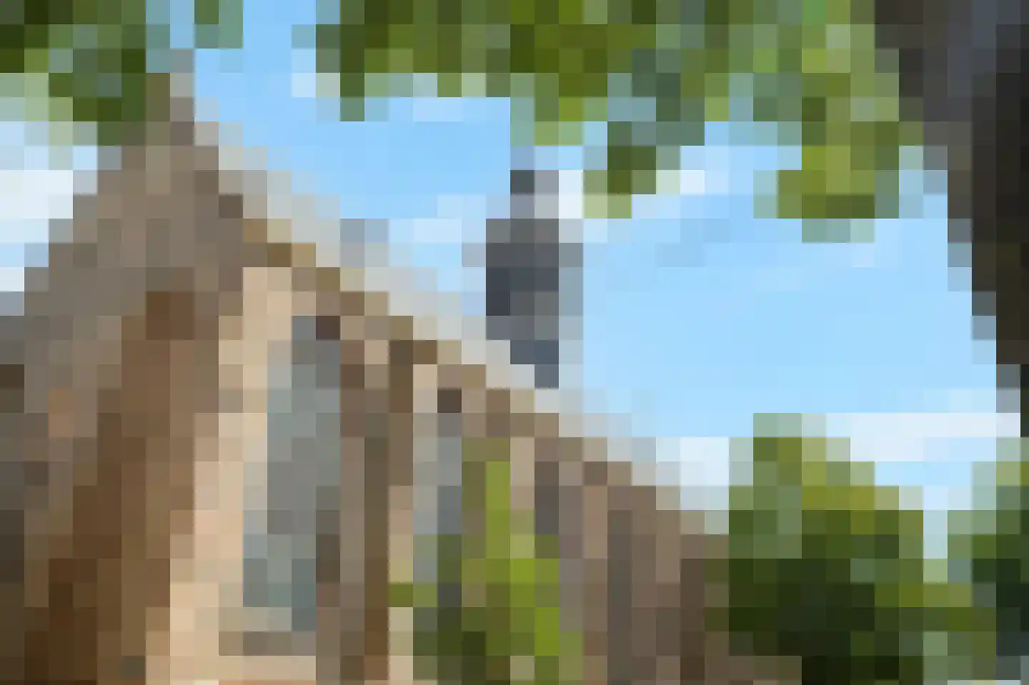 Laat 117 E Alkmaar thumbnail 34
