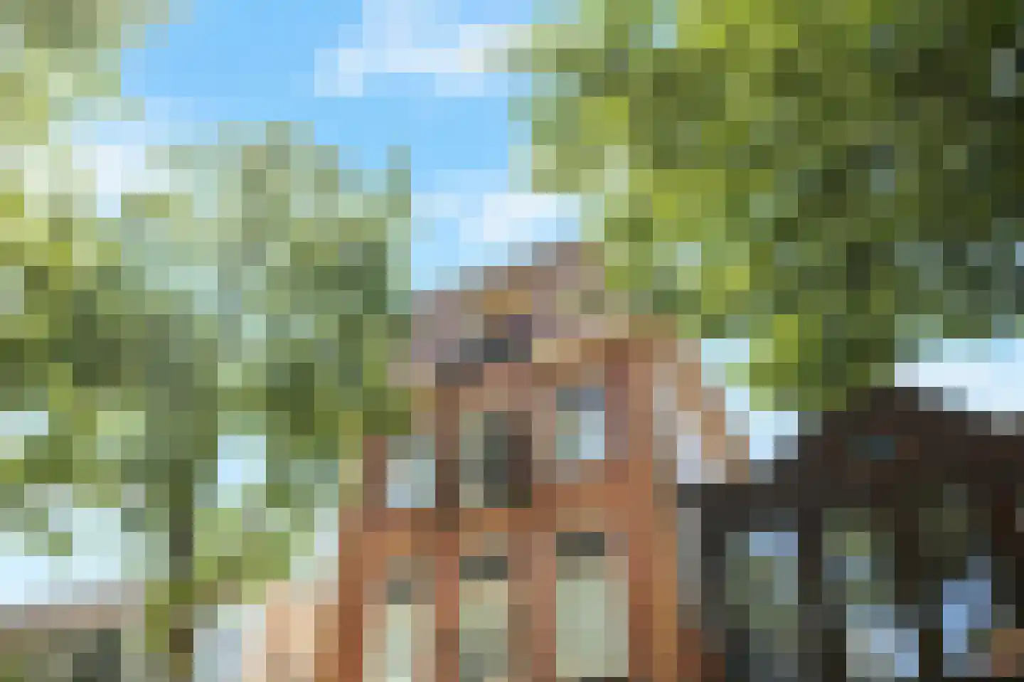 Laat 117 E Alkmaar thumbnail 6